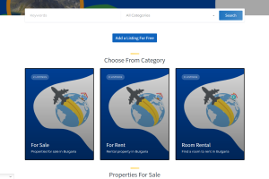 estate agent website design